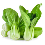 Bok Choy (Bunch)