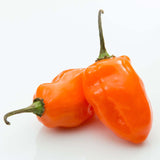 Fresh Habanero Pepper (1 lb)