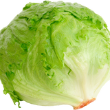 Lettuce (hd)