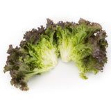 Ruby Sky Lettuce (hd)